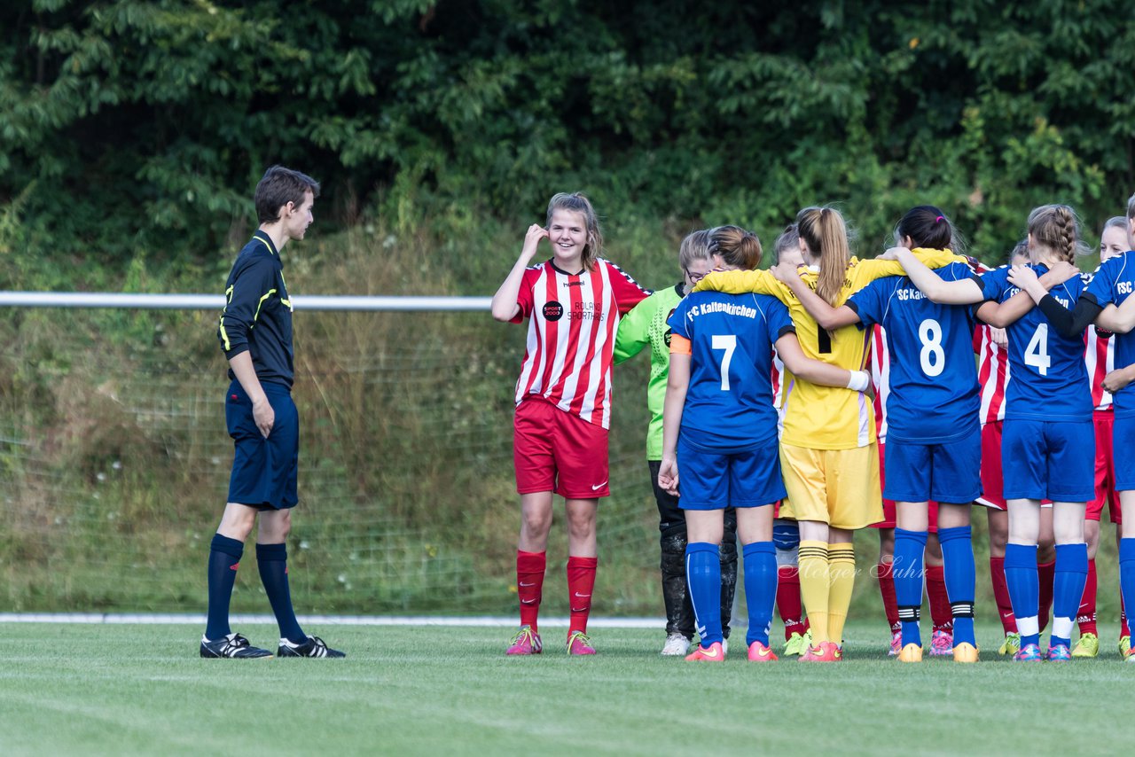 Bild 96 - B-Juniorinnen TuS Tensfeld - FSC Kaltenkirchen : Ergebnis: 3:6